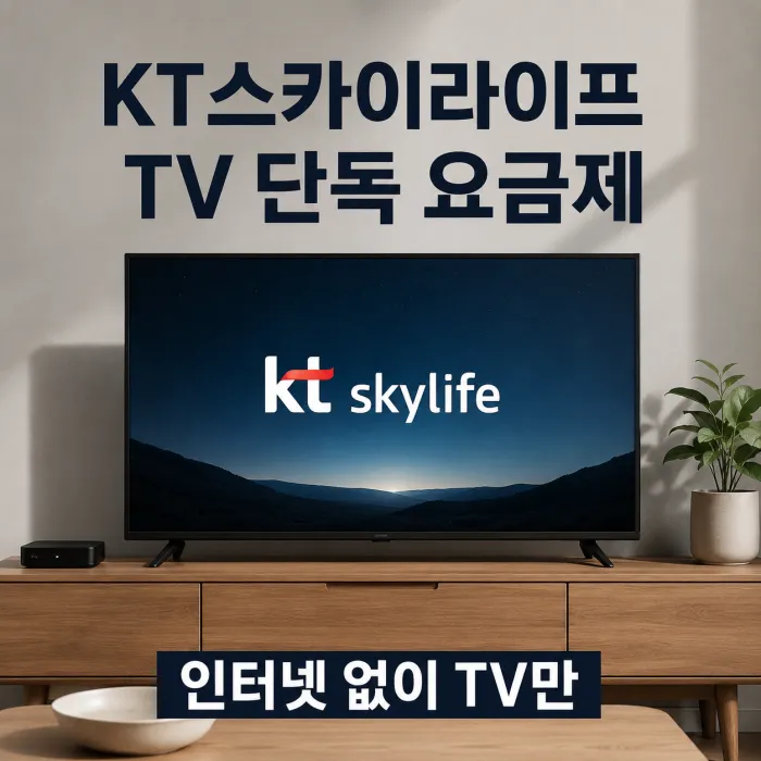 KT스카이라이프 TV 단독 요금제 총정리, 인터넷 없이 TV만 가입해도 될까?