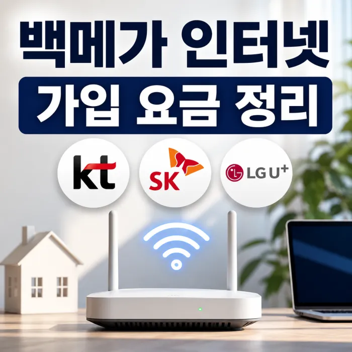 백메가 인터넷 가입 충분한 경우 요금 정리