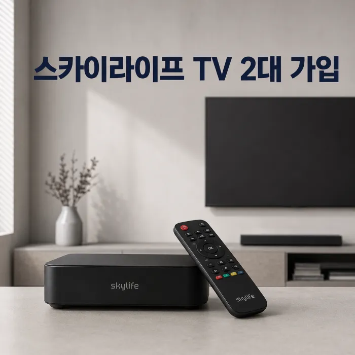 KT 스카이라이프 인터넷 TV 2대 월요금과 추가 설치비 비교표