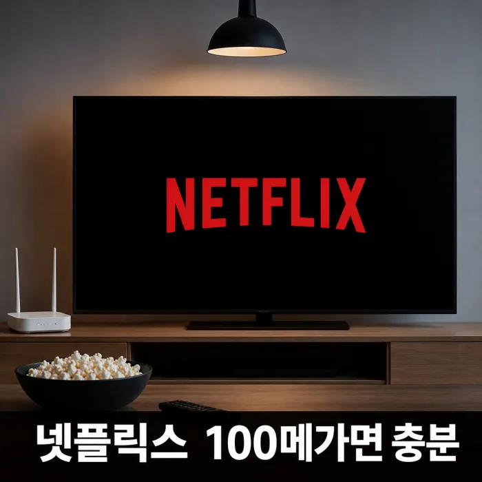 넷플릭스만 본다면 100메가 인터넷으로 충분할까?