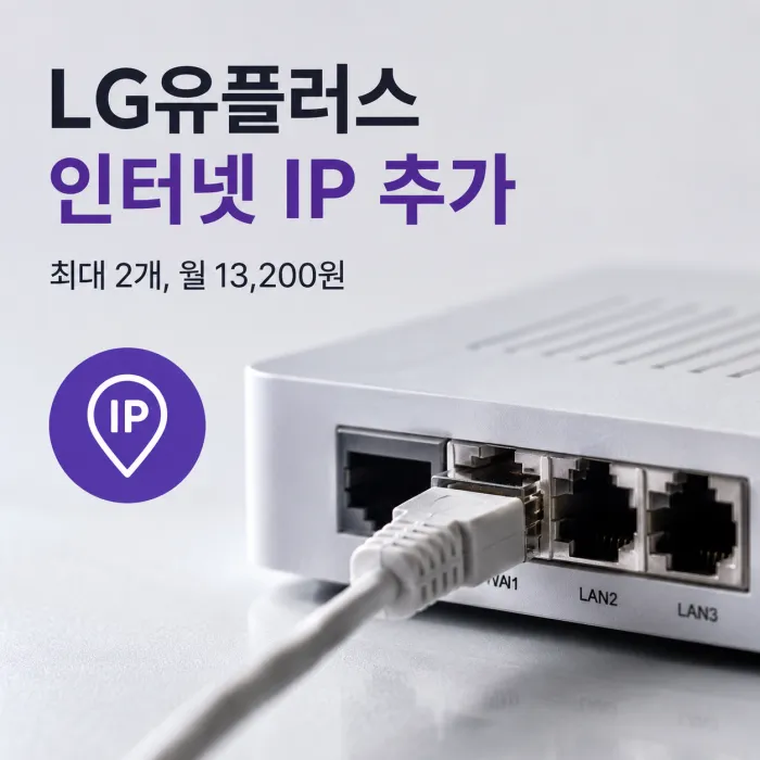 LG U+ 인터넷 IP 추가 가능한가요? 추가 IP 신청 조건·요금 총정리