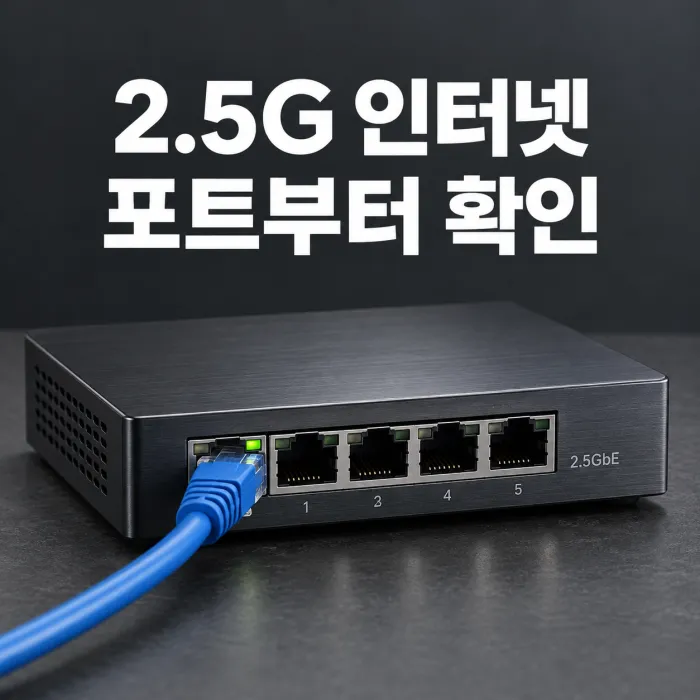 2.5G 기가 인터넷 가입 점검 대상인 PC의 2.5GbE 랜포트와 단자함 스위치, 랜케이블
